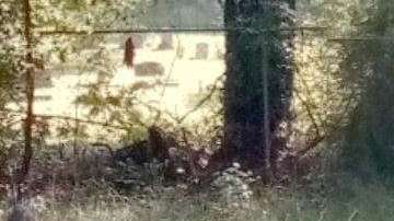 Dos fantasmas es lo que según los usuarios, alcanzan a ver.