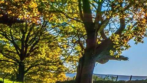 ¿Podemos odiar al futuro?