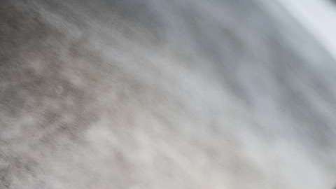 ¿Tú qué tomas en cuenta?