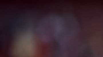 Javier "Chicharito" Hernández responde a sus seguidores en Twitter