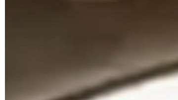 La locutora fue arrestada en el condado Hidalgo en Texas.