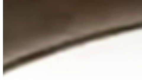 La locutora fue arrestada en el condado Hidalgo en Texas.