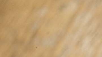 Churros with Dulce de Leche Sauce