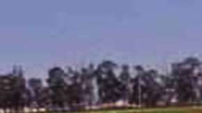 Instan a granjeros de Colorado a "defender" a sus trabajadores indocumentados