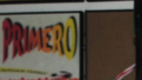 La Copa Fiesta del Sol en Chitown premió a más de 20 equipos de niños en diferentes divisiones. (Javier Quiroz / La Raza)