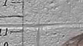 Daryl Justen Head, de 38 años, y Laura Cheatham, de 38, fueron detenidos.