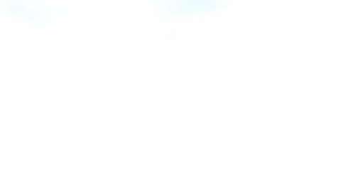 Un bombero se "enfrenta" a la malhumorada cotorra.