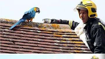 "Jesse" solo hizo muestra de sus malos modales.