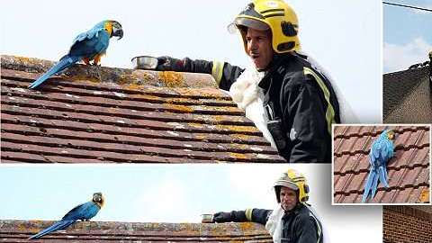 "Jesse" solo hizo muestra de sus malos modales.