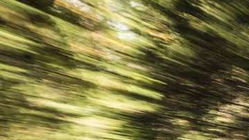 Dodge Journey, entre los afectados