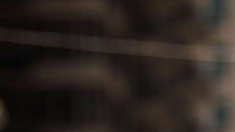 “Junior” estuvo presente en el Desfile Dominicano de este pasado domingo.