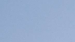 La Organización Trump administra dos pistas de patinaje de hielo y un carrusel en Central Park