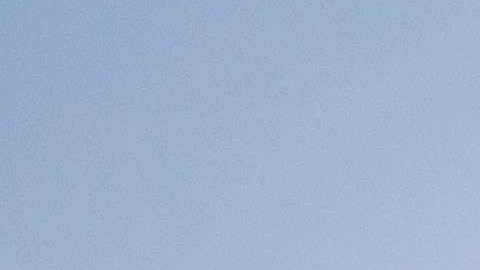 La Organización Trump administra dos pistas de patinaje de hielo y un carrusel en Central Park