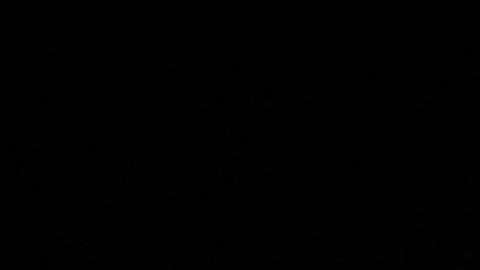 Donald Trump y John McCain.