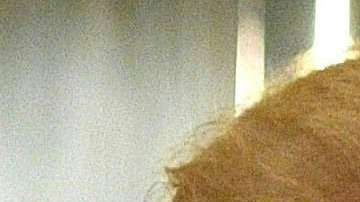 Donald Trump y su ex abogado personal Michael Cohen