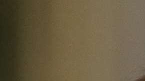 El presidente Donald Trump y su exjefe de campaña, Paul Manafort