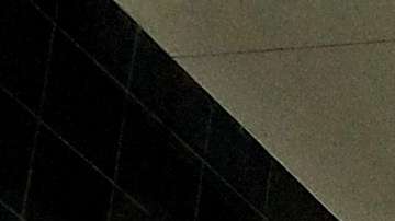 Activistas y Dreamers de "United We Dream" acudieron a la audiencia para apoyar DACA.