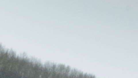 Estos autos no son precisamente 'bonitos'