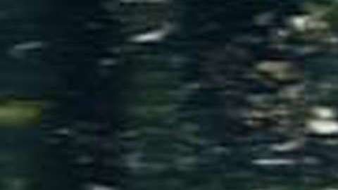 "El Señor de los Cielos"