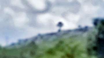 El rinoceronte embistió una camioneta y no la dejó durante unos minutos a pesar de que el conductor aceleró.