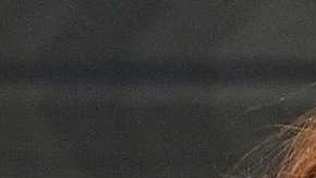 Emma Watson y Emma Stone