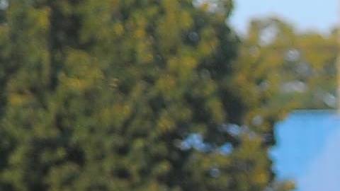 Todas las niñas son bienvenidas para entrenar futbol en la escuela Little Village Lawndale High School. (Javier Quiroz / La Raza)