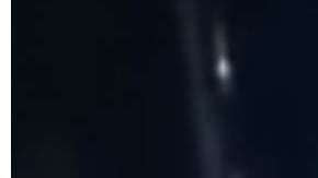 El video circula esta semana en medios como LiveLeak.