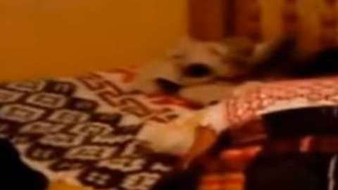 Las mujeres son obligadas a tener relaciones sexuales.