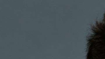 Luis Ernesto Franco y Camila Sodi protagonizan "Falsa Identidad"