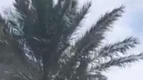 La Policía acordonó varias cuadras en torno al centro comercial.