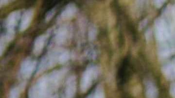 Los millennials piden cambio de sistema. Floris Jan-roelof / UnSplash