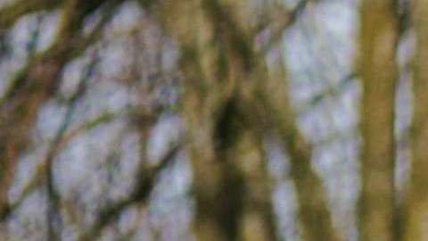 Los millennials piden cambio de sistema. Floris Jan-roelof / UnSplash