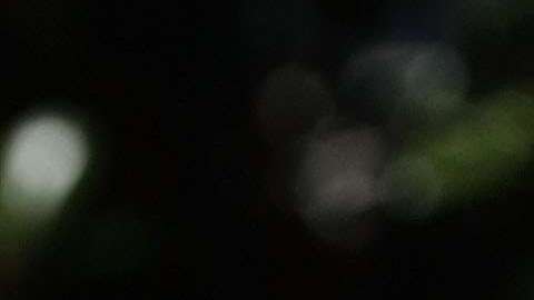 El presidente Trump insulta constamente a pesonas en Twitter y su esposa lidera campaña contra "bullying".