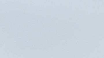 La pareja presidencial.