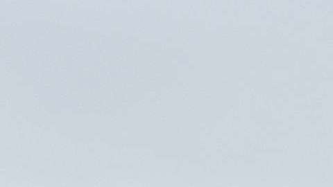 El presidente Trump quería detener una campaña de su esposa.