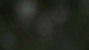 Seguidores de Trump portan carteles o ropa con la "Q".