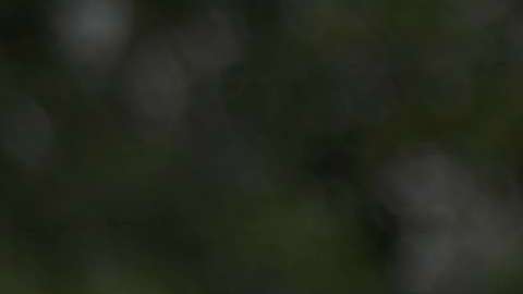 Seguidores de Trump portan carteles o ropa con la "Q".