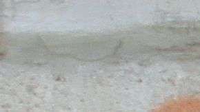 Familiares esperan los cuerpos de 11 personas asesinadas en Ciudad Juárez.