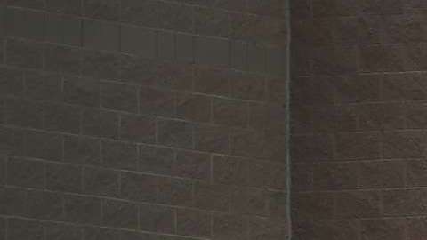 En Ohio, el presidente Trump habló sobre inmigración y recibió ovaciones.