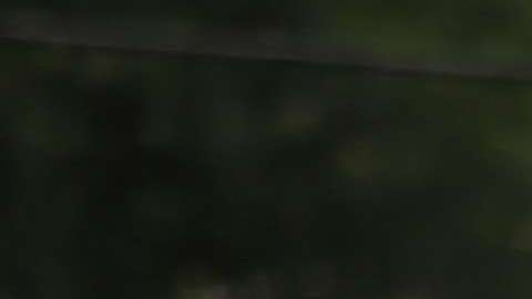 At Least 30 Shot And 2 Killed In Spate Of Overnight Mass Shootings In Chicago