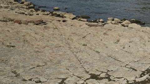 Este aumento podría atribuirse a factores externos como las emisiones de gases de efecto invernadero.