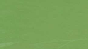 Alize Cornet se cambió la remera en pleno partido y recibió una advertencia