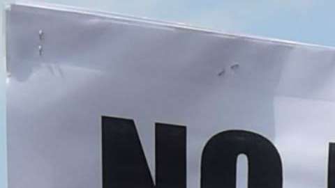 Este fin de semana se cumple un año de la trágicos incidentes de Charlottesville