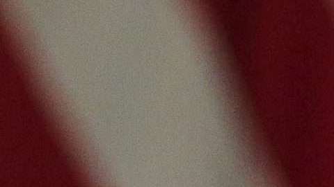 Los sondeos dejan muy mal parado a Trump con miras a las elecciones al Congreso de Noviembre