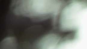 El presidente Trump busca reducir el movimiento contra ICE.