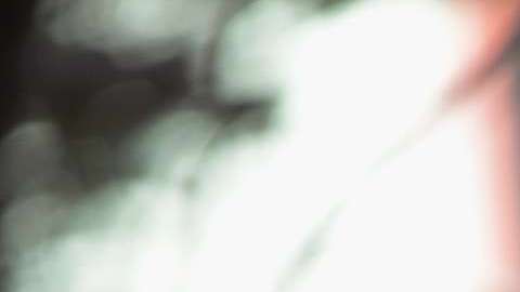 El presidente Trump busca reducir el movimiento contra ICE.