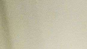 Al indultar a Manafort, Trump podría asegurar que no lo incrimine en el caso de la Trama Rusa