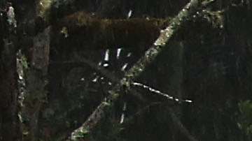 La crecida del río Wailuku River en la Isla Grande de Hawaii.