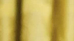 La imagen en pocos minutos cautivó a los internautas