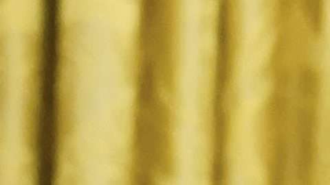 La imagen en pocos minutos cautivó a los internautas